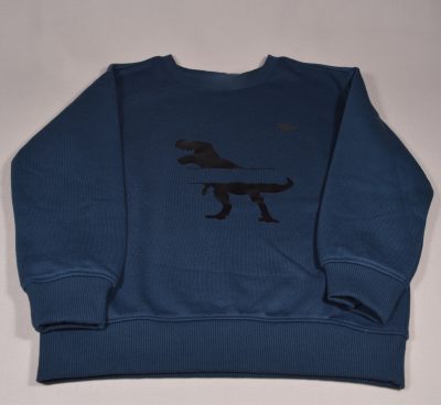 Sweatshirt Jungen Dino personalisiert